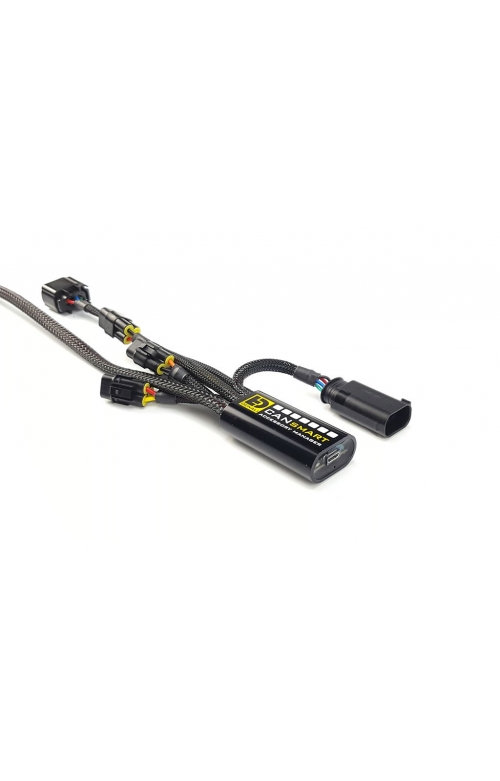 DENALI 2.0 Plug-n-Play CANsmart Controller for BMW R1200 LC